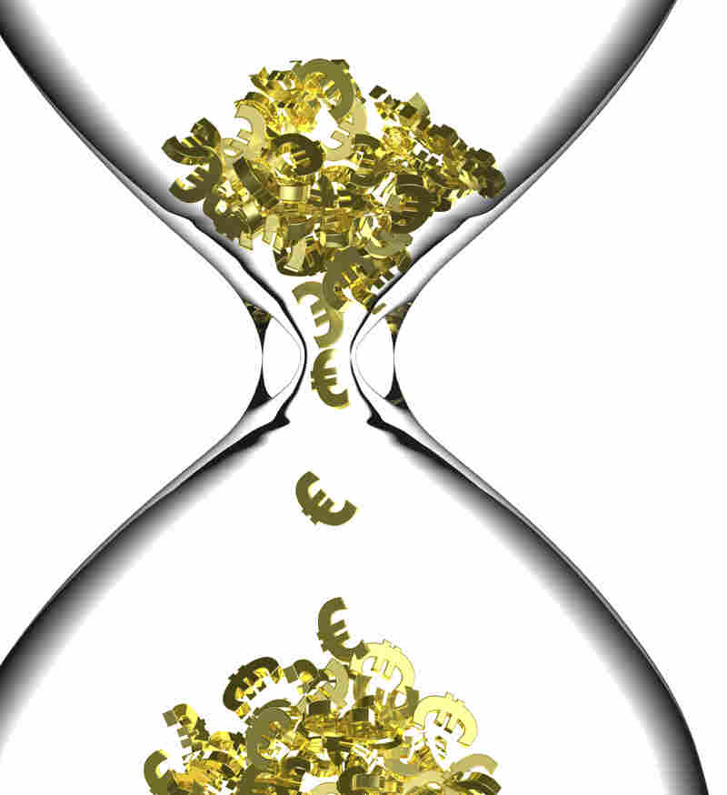 Can the euro withstand the current economic crisis?
