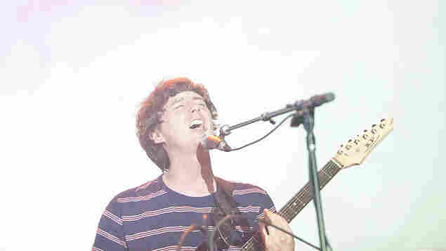 Panda Bear