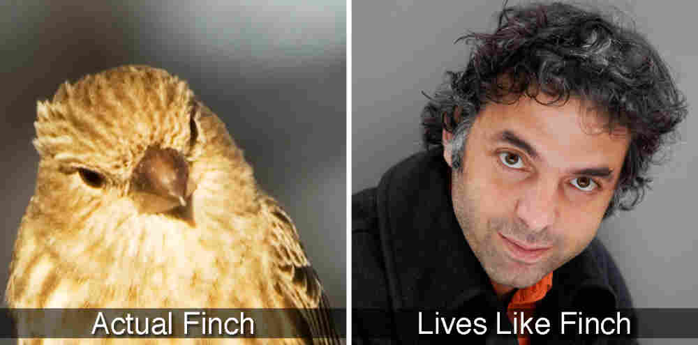 Finch and Keret.