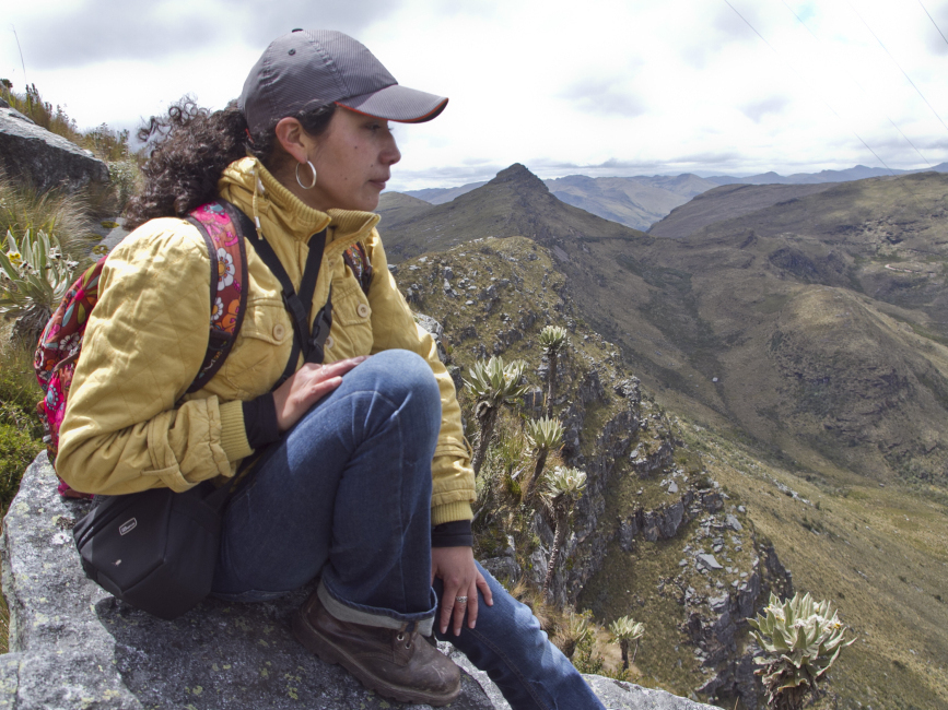 American Zoos Help Return Condor To South America NPR