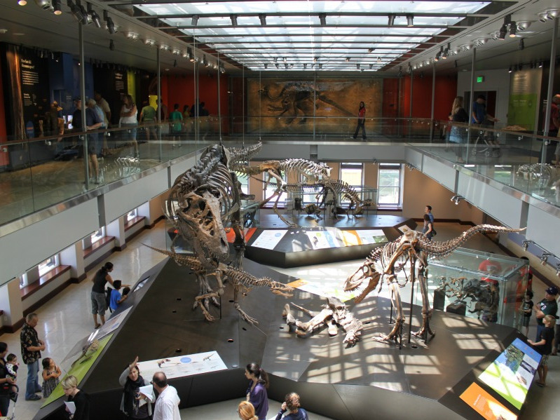 amnh dinosaur hall