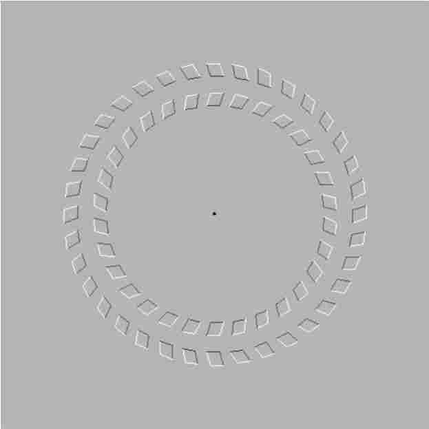 Here is Pinna-Brelstaff Illusion. If you focus on the dot and move your head in, then move it out the circles spin.
