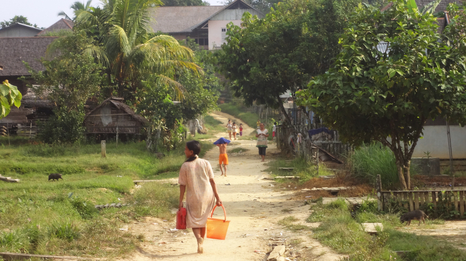 A dirt road passes through remote Sekendal village in Indonesia's western Borneo. Some 60 percent of the island's forests have been cut down, and only 8 percent of the islands virgin forests remain, mostly in national parks. (Andrew Limbong /for NPR)