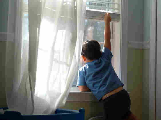 Toddler holds up window blinds and looks out the window.