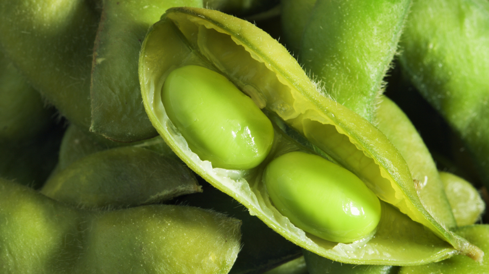 Eating More Nuts And Soy May Help Beat High Cholesterol Shots