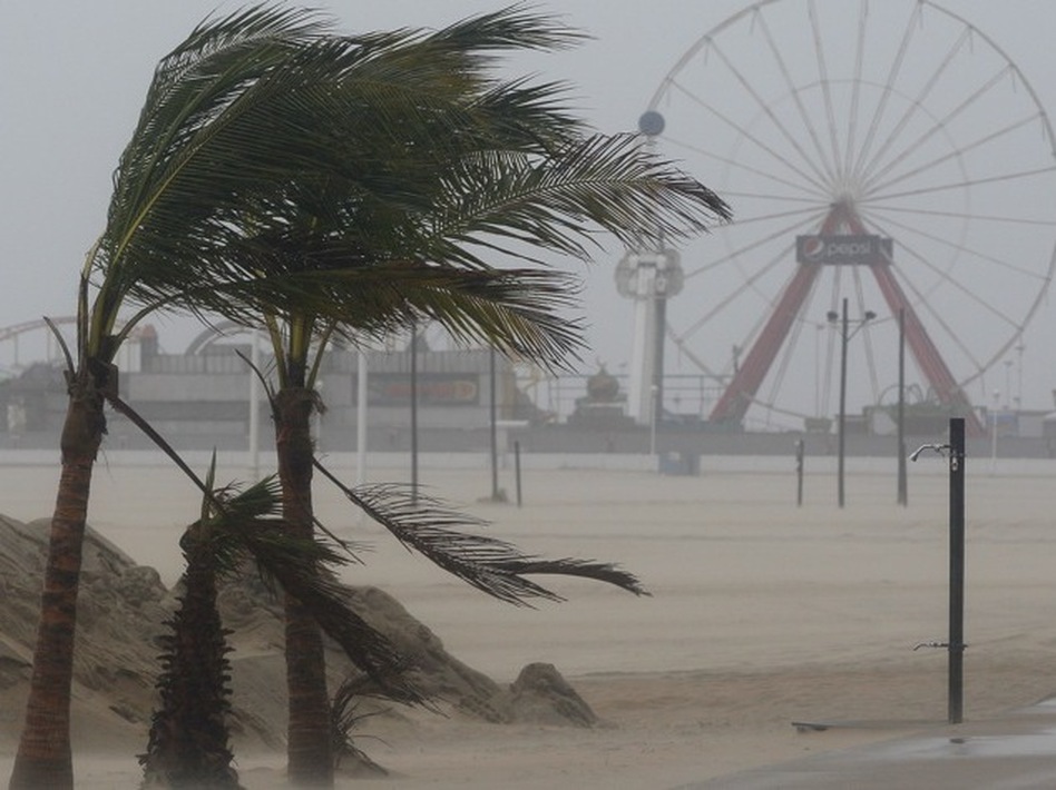 Wind blows against palm trees on a beach in Ocean City, Md., on Saturday. (Patrick Semansky/AP)
