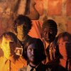 Olivia Tremor Control
