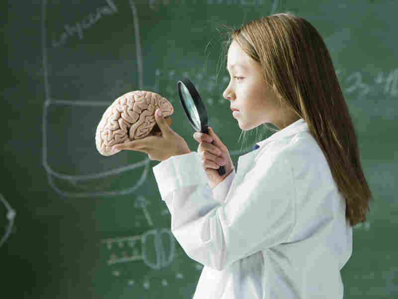 Child staring at brain