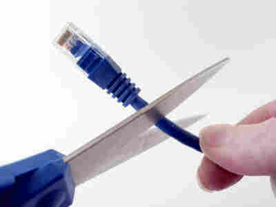 Person going to cut the connection of a network cable with sissors