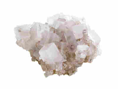 A grain of salt.