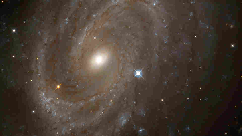 A Nasa Hubble Space Telescope view of Spiral Galaxy Ngc 4603.
