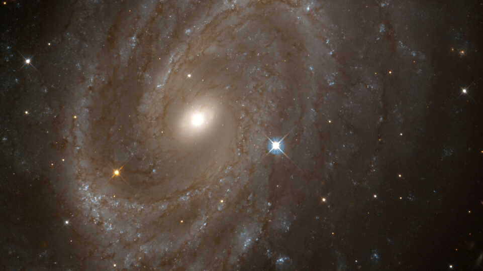A Nasa Hubble Space Telescope view of Spiral Galaxy Ngc 4603.