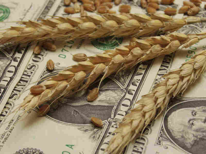 Wheat and dollar banknote in close up