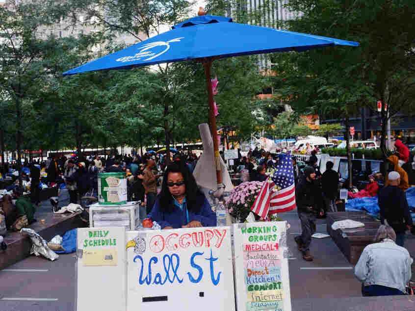 An "Occupy Wall Street" demonstrator at Zuccotti Park