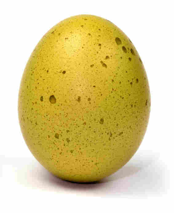 An egg.