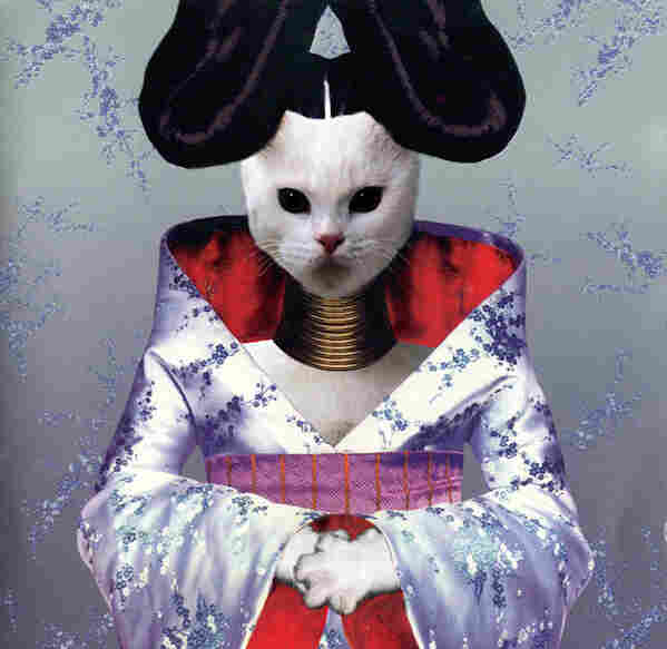Kitten Covers - Bjork
