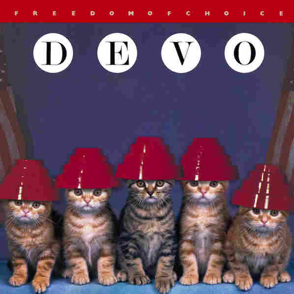 Kitten Covers - Devo