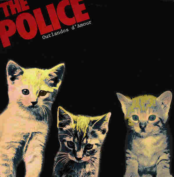 Kitten Covers - Police