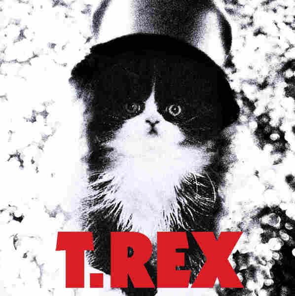 Kitten Covers - T. Rex