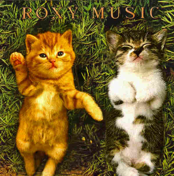 Kitten Covers - Roxy Music