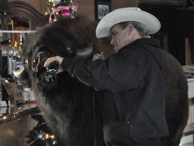 The Story Of A Guy And His Pet Buffalo The TwoWay NPR