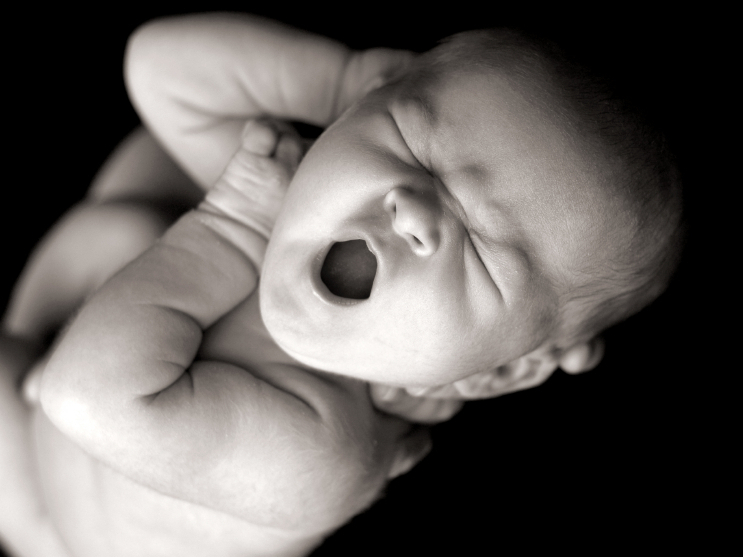  (iStockphoto.com)
