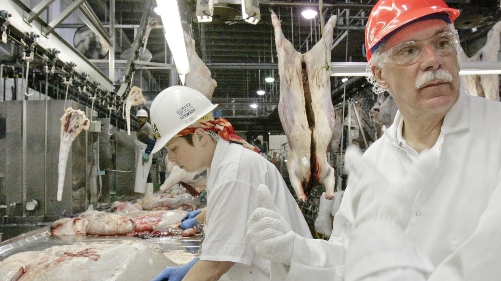 The Case For Peeking Inside The Slaughterhouse The Salt NPR