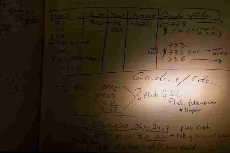 Crane and her colleagues called the undersea vent and thriving ecosystem "Garden of Eden" — as she noted in her notebook. The deep sea holds incredibly diverse life forms, Crane says. On "probably every single submersible dive that goes into the ocean, the people in it are probably looking at species of life nobody's ever seen before," she says. 