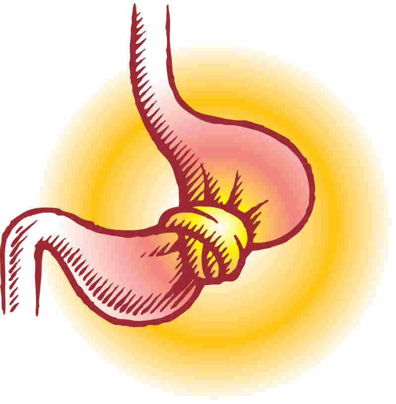 A stomach in a knot.