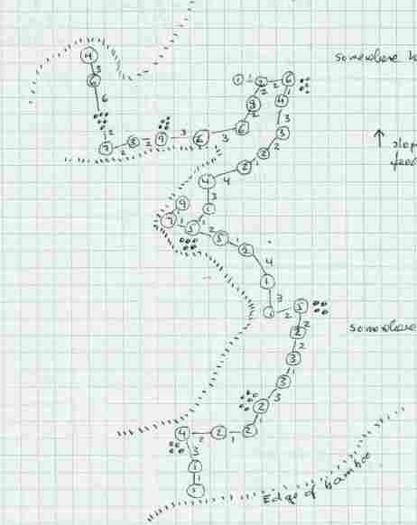 A map of a panda foraging on bamboo shoots.
