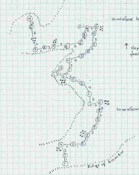 A map of a panda foraging on bamboo shoots.