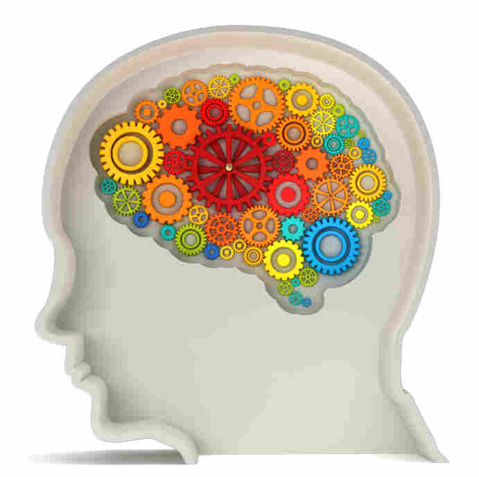 A brain made from colored gears appears inside a gray human head.