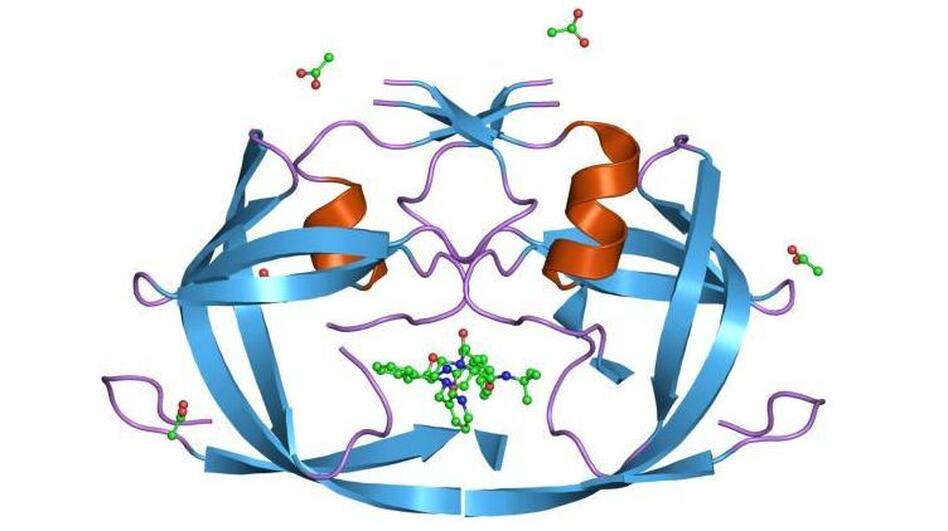 A rendering of a key protein the simian immunodeficiency virus uses to reproduce. (Wikimedia Commons)