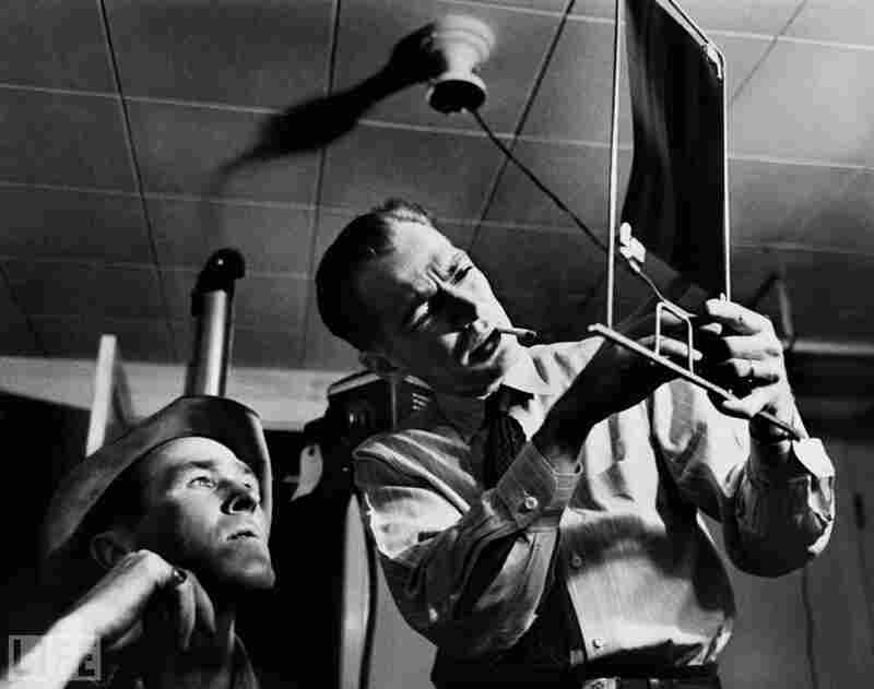 What does the picture show brainly image