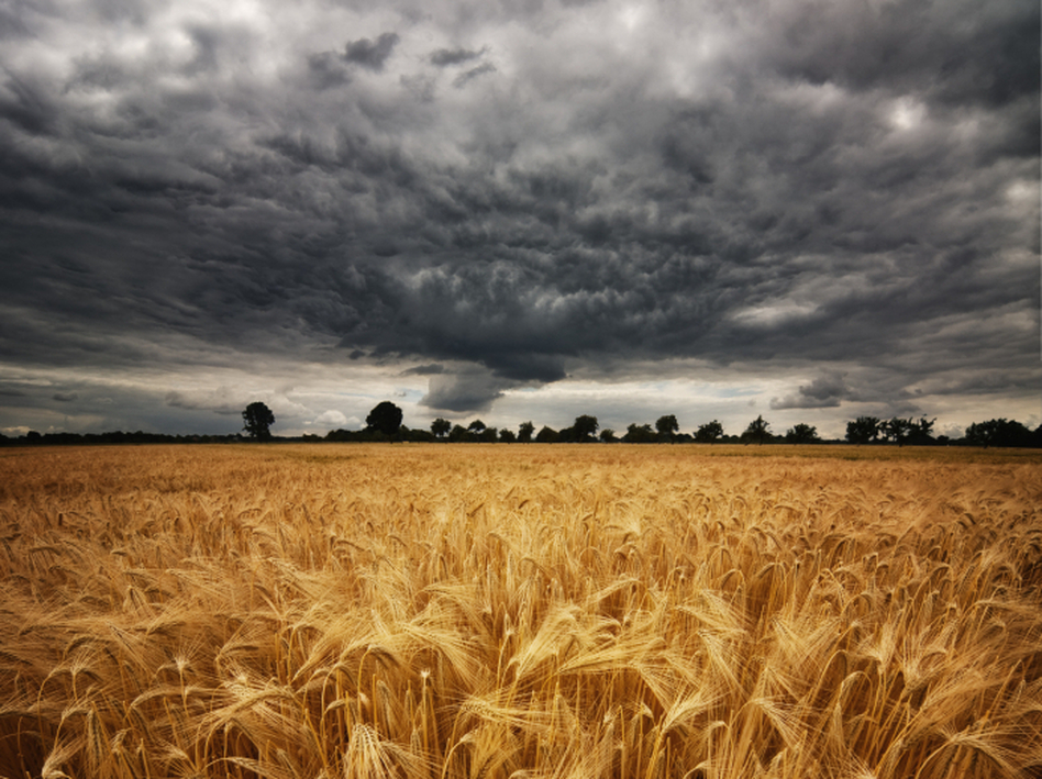 Altering the upper atmosphere could block enough sunlight to offset the warming effects of climate change and protect food crops. But what are the risks? (iStockphoto)