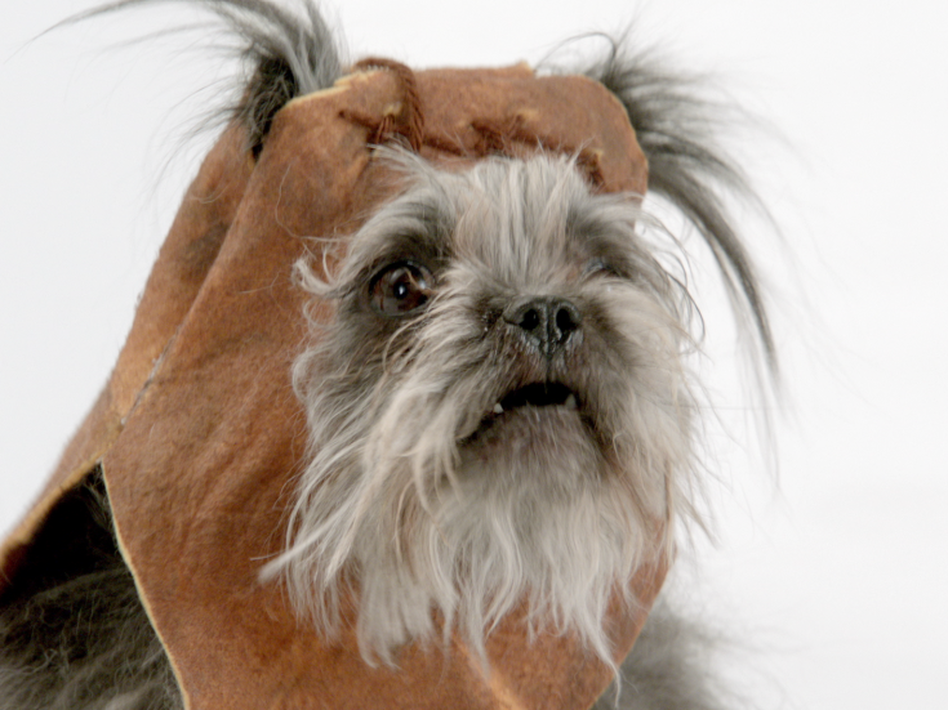 The dogs starring in "The Bark Side" were shot individually, then pasted together, says Mark Hunter, Chief Creative Officer at Deutsch LA. (Deutsch LA)