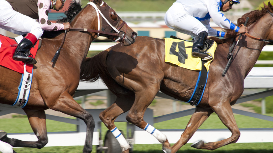 <em>Luck</em>, the new HBO drama created by David Milch, is about the inside world of horse racing. (Gusmano Cesaretti /HBO)