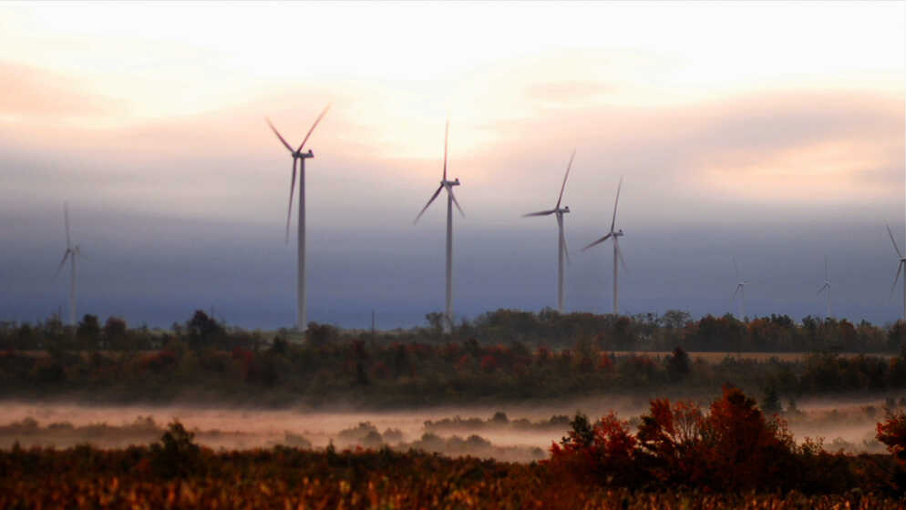 Movie Review 'Windfall' WindPower Documentary Takes A Skeptical