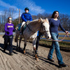 Pet Therapy: How Animals And Humans Heal Each Other