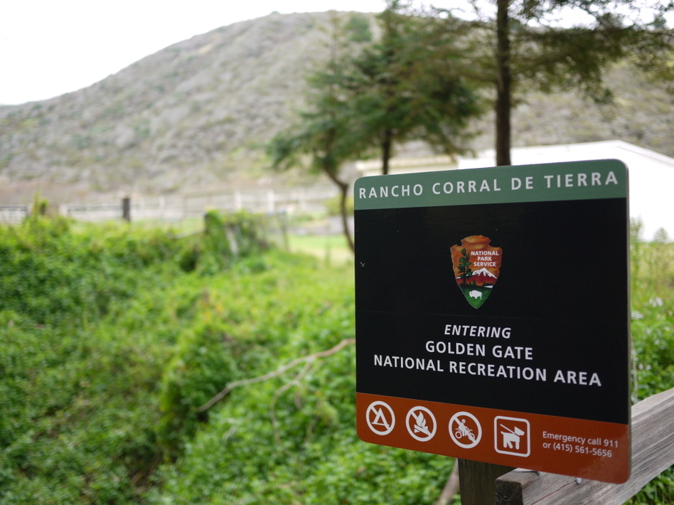 Rancho Corral de Tierra Park in Northern California recently became part of the National Parks System. Now dogs are required to be on leash, angering some community members. (Amy Standen/KQED)
