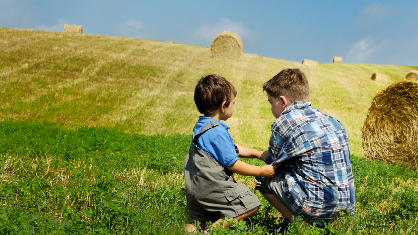 Most farm injuries come when children are playing or visiting, not working. (iStockPhoto.com)
