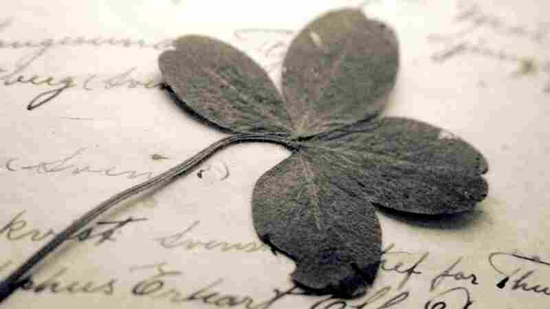 clover detail