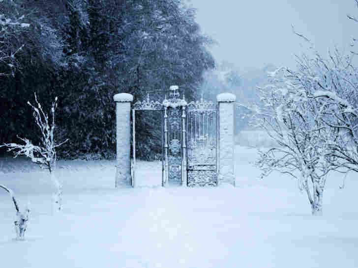 A gate to another world