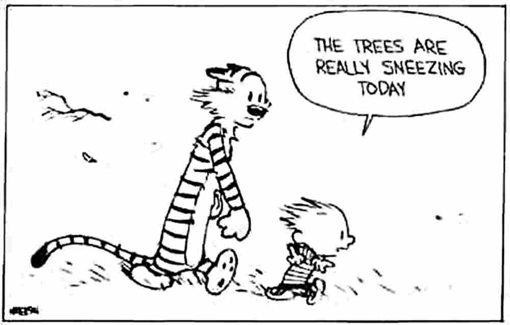 Calvin and Hobbes