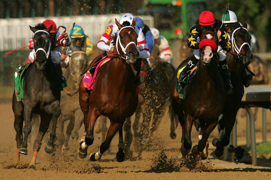 Eight Belles (far left) broke both of her front ankles after finishing second in the 134th Kentucky Derby in May 2008. She was later euthanized. (Matthew Stockman/Getty Images)