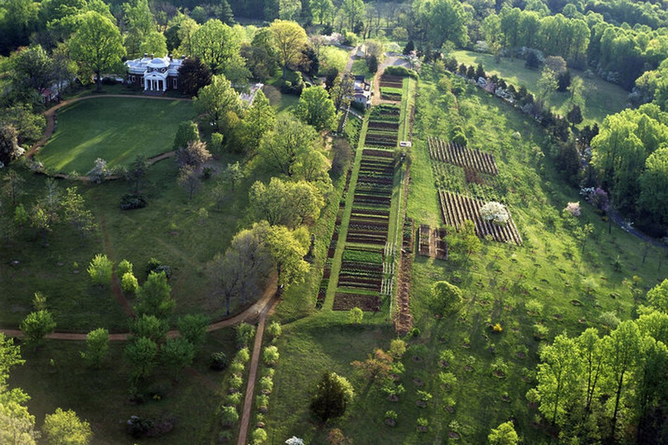 Thomas Jefferson's garden at Monticello served as an experimental laboratory for garden vegetables from around the world. (Leonard Phillips/Thomas Jefferson Foundation at Monticello)
