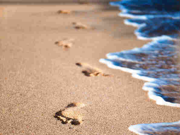 Beach.