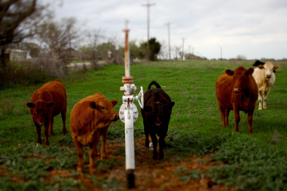 Town's Effort To Link Fracking And Illness Falls Short