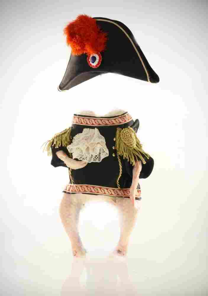 A chicken dressed like Napoleon