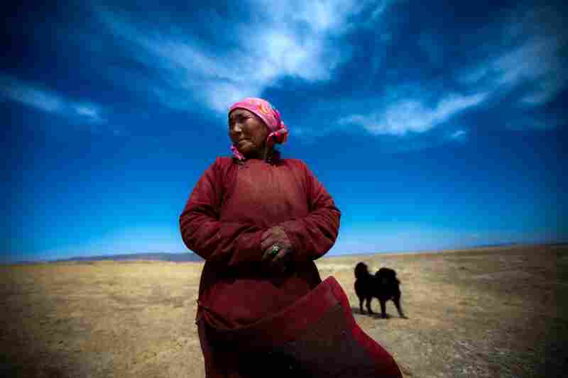 Khishigdelger Adiya surveys the land around her home. She stands near what she described as a "sacred well" that has recently gone dry.